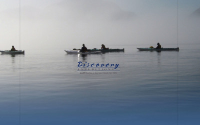 Orca Sea Kayaking Discovery Expeditions